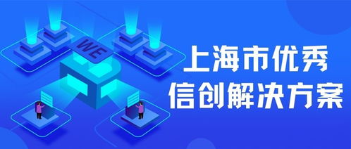 上海互聯網軟件集團 高端協同管理軟件產品與企業管理咨詢服務專家